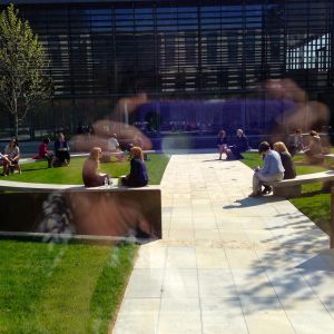 University leaders exploring AI